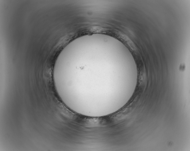 X0000090710473200708101509