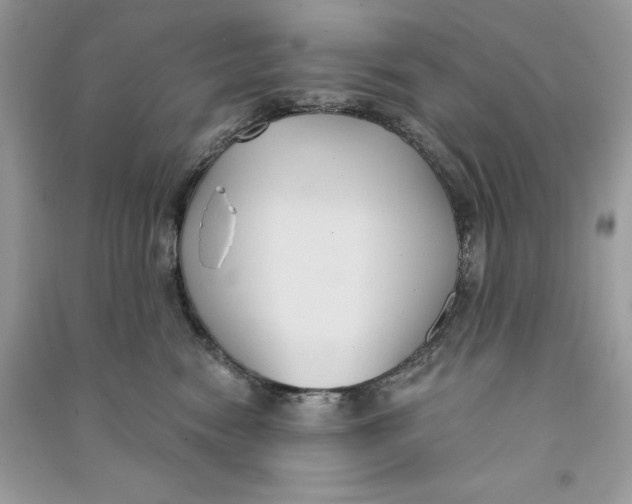 X0000090710474200708101509