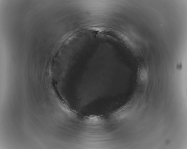 X0000090710475200708101509