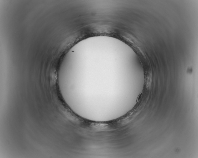 X0000090710476200708101509