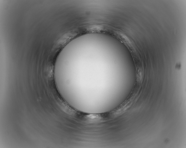 X0000090710477200708101509