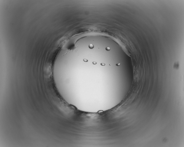 X0000090710478200708101509