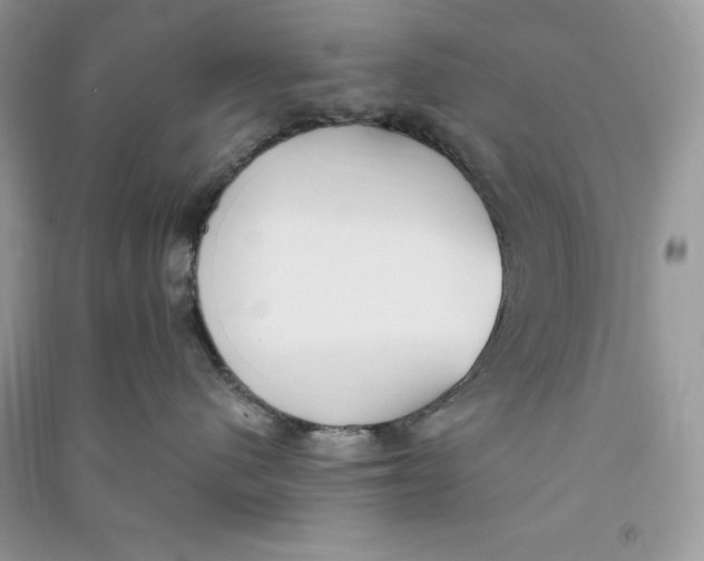 X0000090710480200708101509