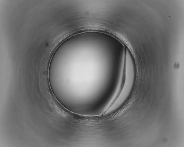 X0000090710481200708101509