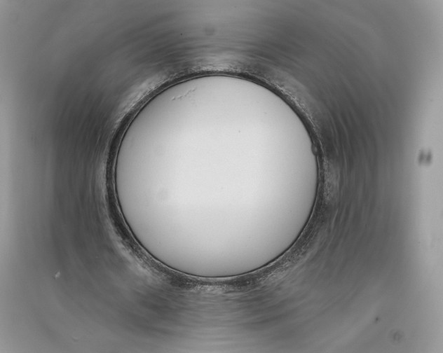 X0000090710482200708101509