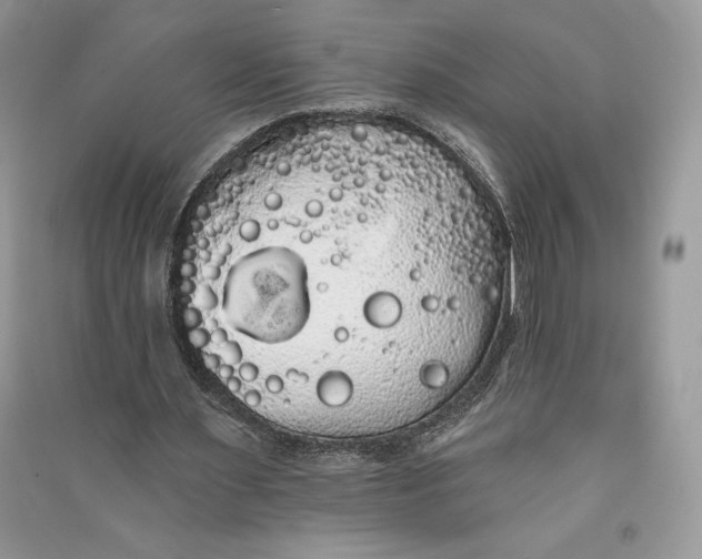 X0000090710483200708101509