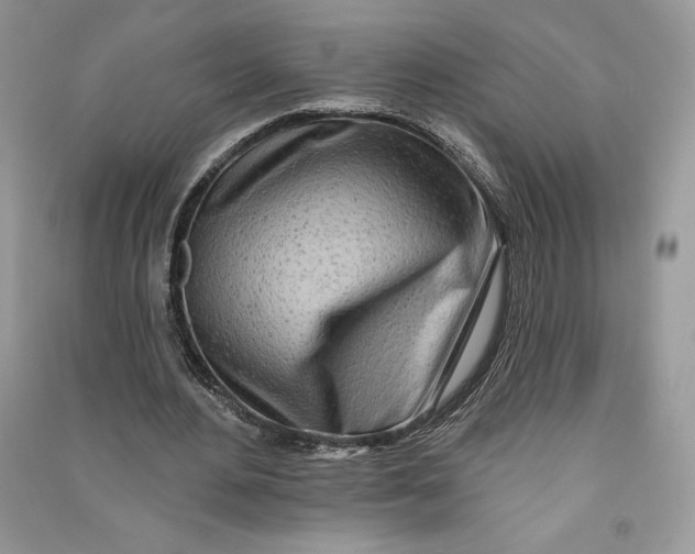 X0000090710484200708101509