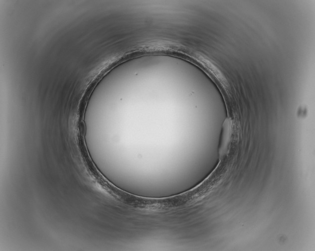 X0000090710485200708101509