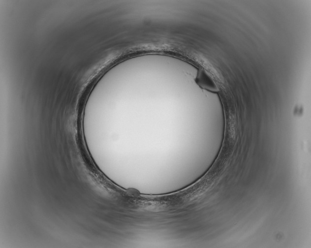 X0000090710486200708101509