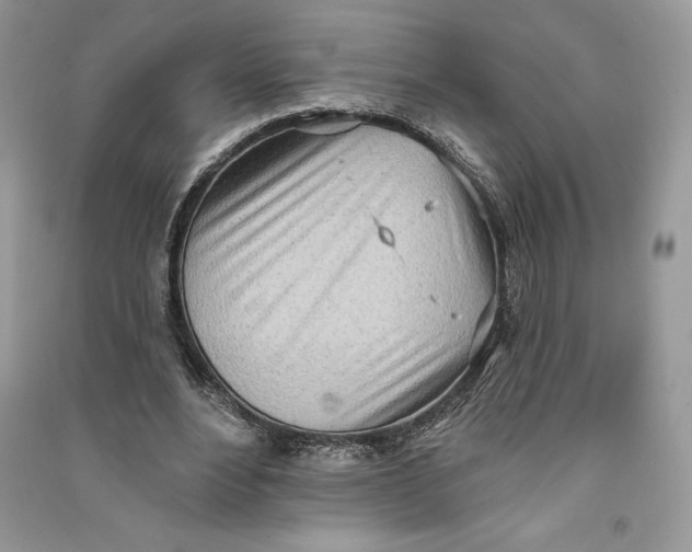 X0000090710488200708101509