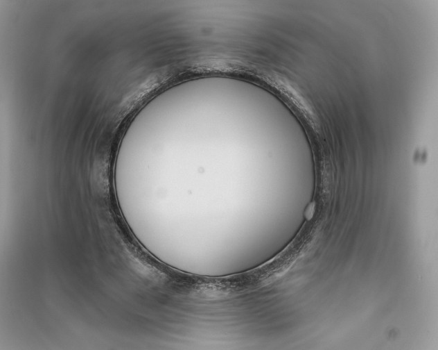 X0000090710489200708101509