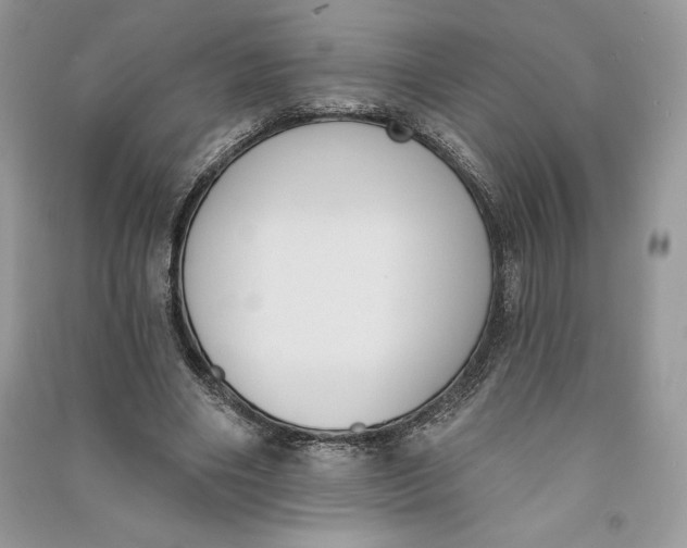 X0000090710490200708101509