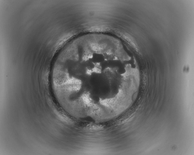 X0000090710491200708101509