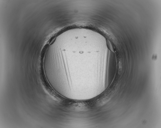 X0000090710492200708101509