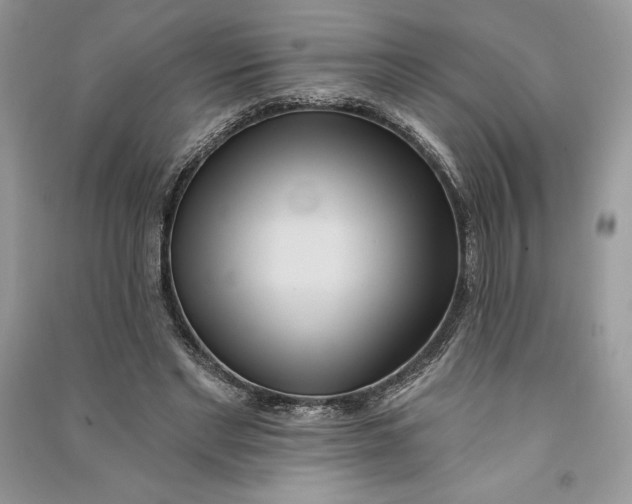 X0000090710493200708101509