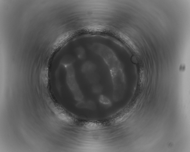 X0000090710494200708101509