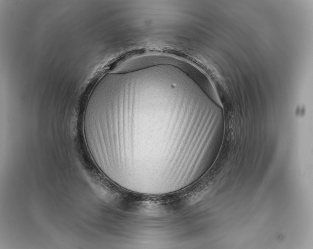 X0000090710496200708101509