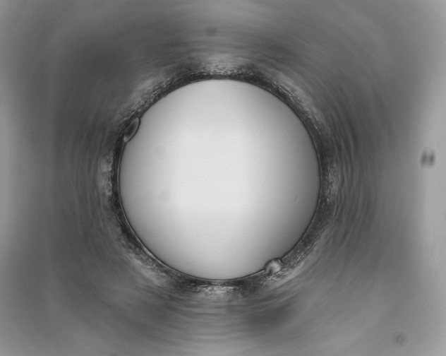 X0000090710497200708101509