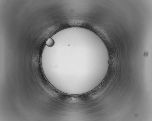 X0000090710498200708101509