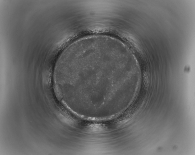 X0000090710499200708101508