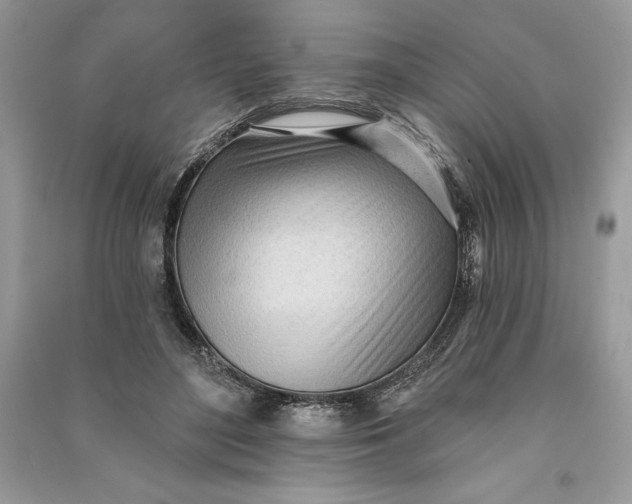 X0000090710500200708101508