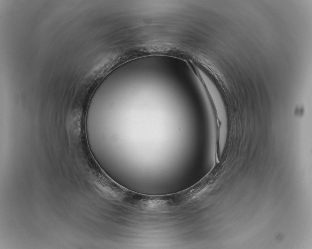 X0000090710501200708101508