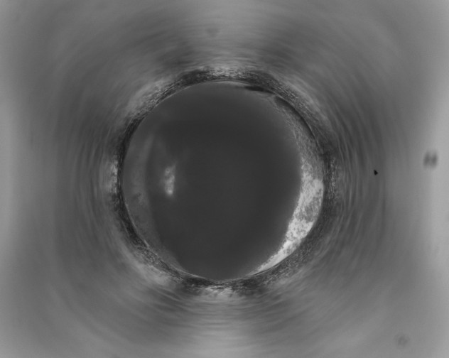 X0000090710502200708101508