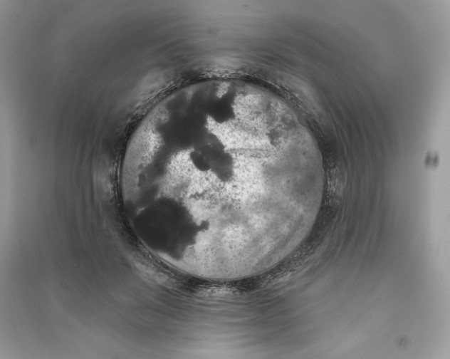 X0000090710503200708101508