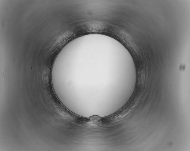 X0000090710505200708101508