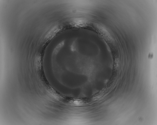 X0000090710506200708101508