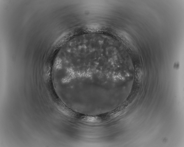 X0000090710507200708101508