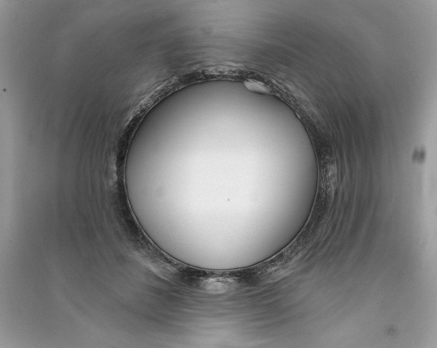 X0000090710508200708101508