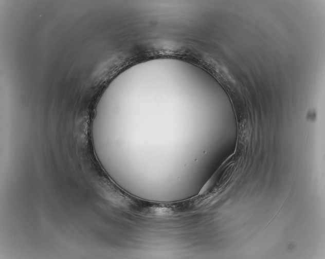 X0000090710509200708101508