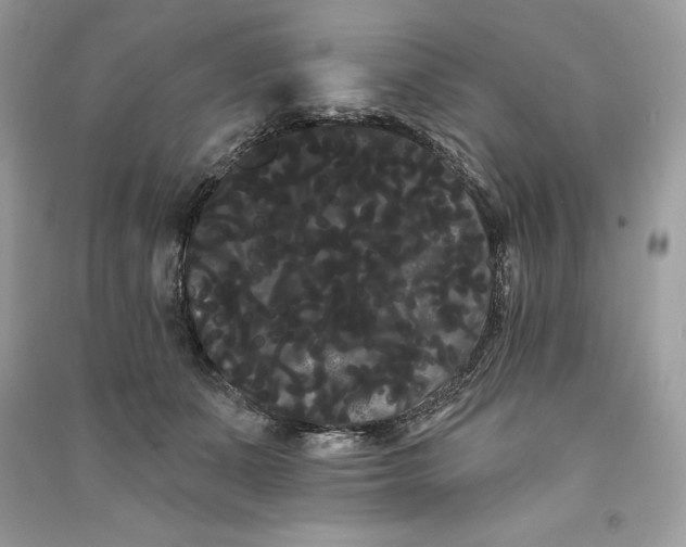 X0000090710511200708101508