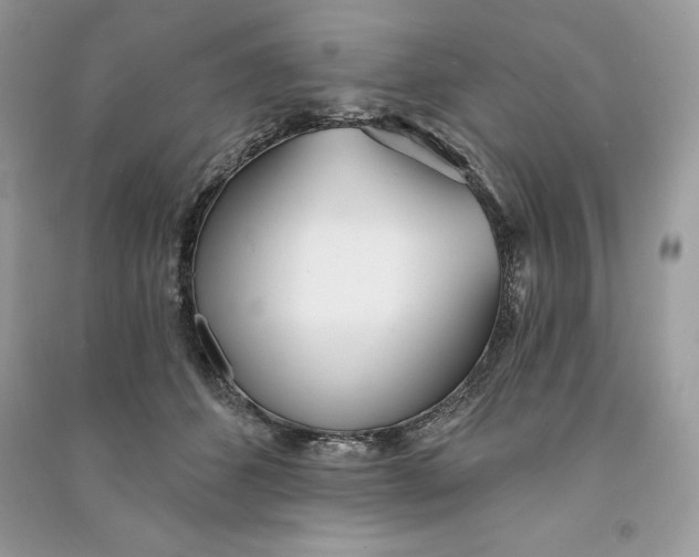 X0000090710512200708101508