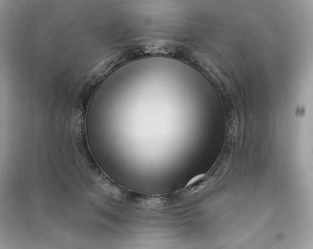 X0000090710513200708101508