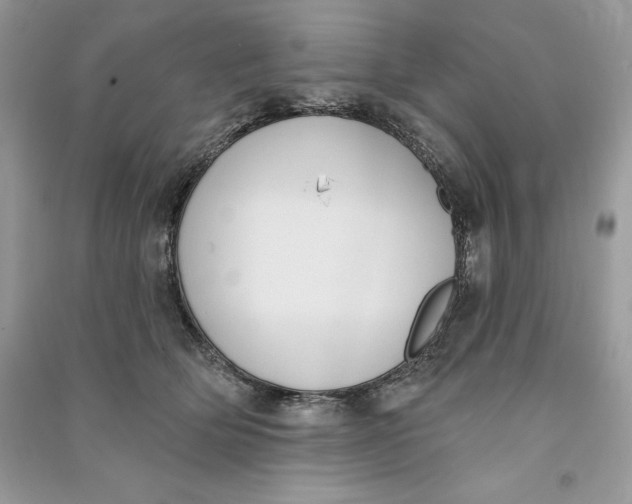 X0000090710514200708101508