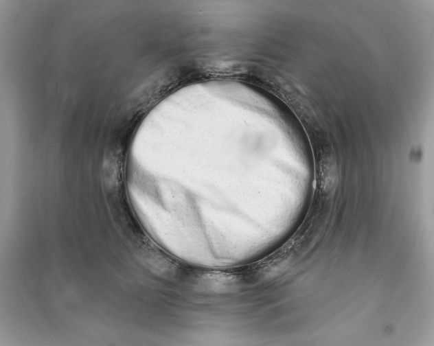 X0000090710515200708101508