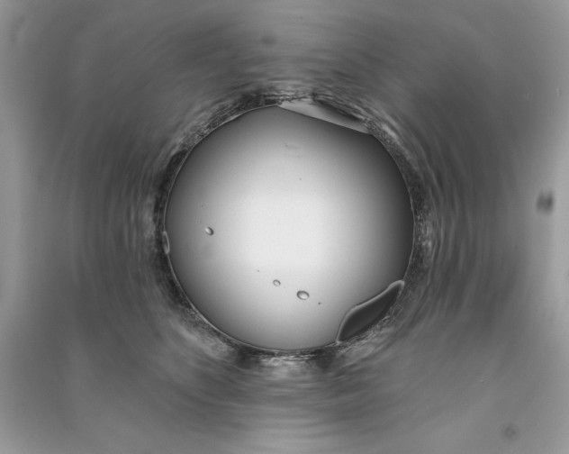 X0000090710516200708101508