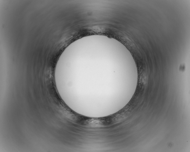 X0000090710518200708101508