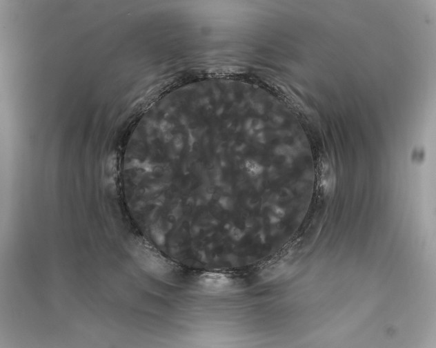 X0000090710519200708101508