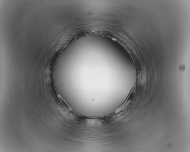 X0000090710520200708101508