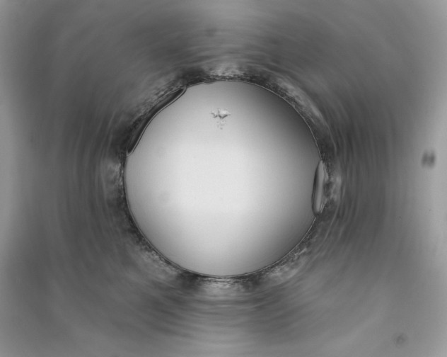 X0000090710521200708101508