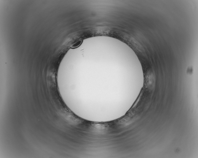 X0000090710522200708101508