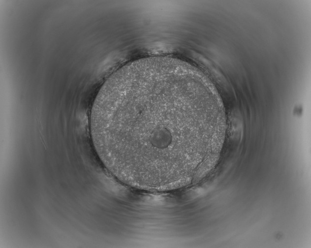 X0000090710523200708101508