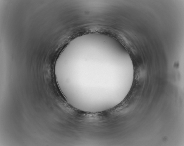 X0000090710524200708101508