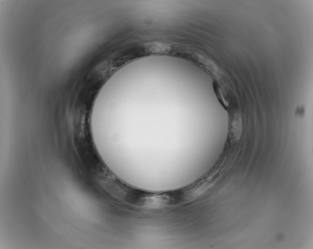 X0000090710525200708101508