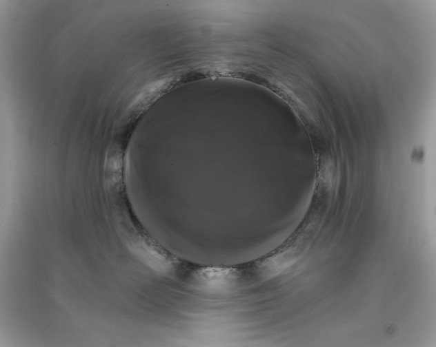 X0000090710526200708101508