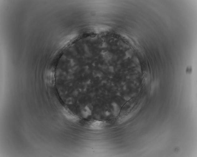 X0000090710527200708101508