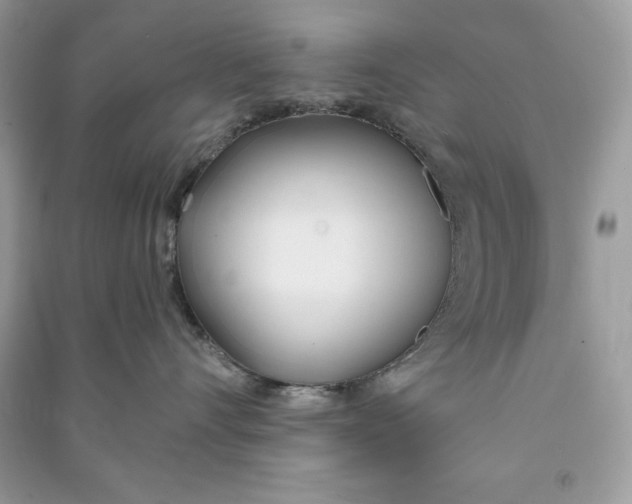 X0000090710528200708101508